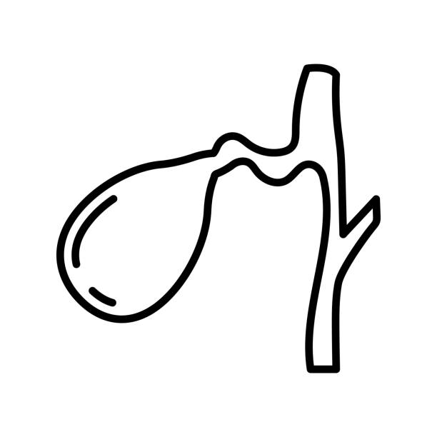 Gallbladder