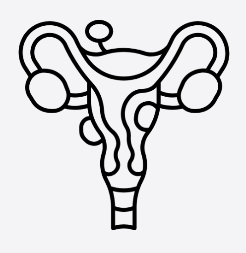 Fibroid Treatment